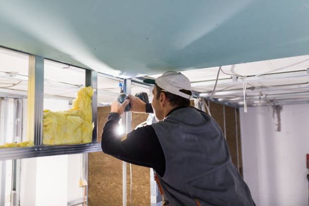 Best Eco-Friendly Insulation in Lake Ronkonkoma, NY